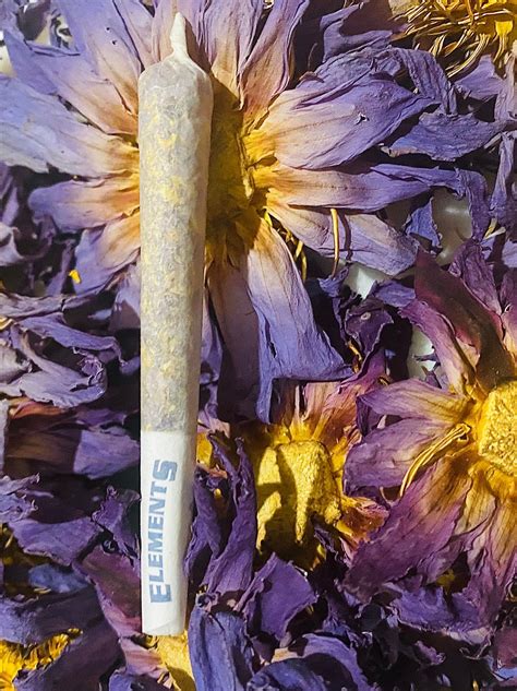 Can you smoke blue lotus in the military. Things To Know About Can you smoke blue lotus in the military. 